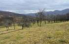 Teren intravilan si extravilan Luncoiu de Jos - 14