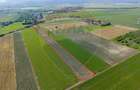Teren de vânzare 11.500 mp | Ghimbav | Strada Aeroportului - 5