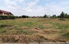 Inchiriere teren intravilan Cornetu / zona str. Trandafirilor, 4.500 mp, D: 31 m - 8