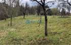 Royal Imobiliare-Vanzare Teren Zona Voineasa - 6