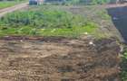 Teren intravilan Breazu, lângă pădurea Mărzeșt - 2
