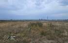 Teren industrial intravilan vis a vis de Auchan Sud Timisoara - 3