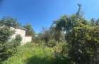 Caransebes, Casa P+E, Teren 1000 Mp - 29