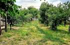 Seimenii Mari Casa 5 camere S.teren:4260 +vie+pomi fructiferi  vedere la Dunare - 15