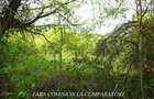 ZONA SUPERBA - TERENURI DE VANZARE - 23