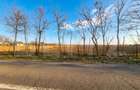 Teren intravilan de vanzare, 2.500 mp, Str Gorunului, zona Aqua Star - 2