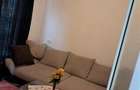 Casa Individuala Noua la 30 km de Timisoara - 7