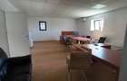 Magurele,hala 1000 mp,constructie noua ,ideal depozitare,productie - 8