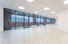 Spatiu comercial | Baicului | 305 mp | 355 mp | - 12