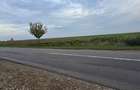 LIVADA  DE VANZARE FOCSANI-DUMBRAVITA  1,8  HA - 17
