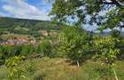 Casă de vânzare în exclusivitate, str. Română nr. 45, Sighisoara - 17