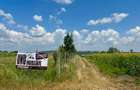 Teren intravilan Platoul Beldiman Rediu Iași – 787 mp Deschidere la 2 drumuri Construibil - 3