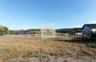 Teren intravilan 3500 mp zona Hamba - 7