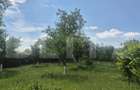Proprietate de vanzare, teren 5488 mp, localitatea Ambud, comuna Paulesti - 11