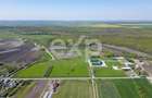 Black Angus Farm with authorized Slaughterhouse - 5