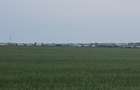 Teren de vanzare Lazu zona Logistic Park - 10