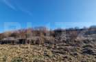 Teren extravilan, 5600mp, ideal investitie de viitor, zona Vidului, Floresti - 3