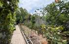 COMISION 0% Triplex de vanzare complet mobilat si utilat - Sanandrei - 13