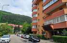 Exclusiv-Garsoniera Racadau,mobilata-utilata modern,renovata,330 Euro - 10