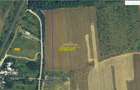 Teren intravilan Peris 10.000 mp pt complex de case - 4
