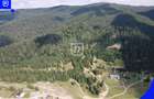 Teren - Voronet | Gura Humorului | BUCOVINA - 10