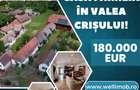 De vânzare casă familială în Valea Crișului! - 1