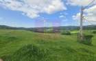 Teren intravilan de vanzare in Breaza (dezvoltare imobiliara) - 2