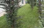 APARTAMENT 2 CAMERE | VICTORIA HOMES – PIPERA | GRĂDINĂ PROPRIE 30 MP - 6