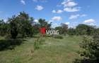 Teren intravilan | 2.810 mp|18ml|Zona Fratelia| - 3