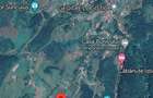 Teren intravilan de 1400 mp in Suncuius, de vanzare, Bihor - 11