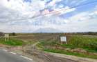 Teren Intravilan de 7000 mp la Granița cu Republica Moldova! - 5