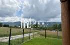 Cabana 5 Camere I 1520 mp teren I Lac de pești I Zona Tocile - 23