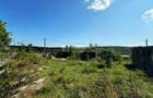 Bucium - Paun, teren intravilan, 1000mp - 2
