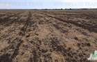 Oferim spre vanzare 6 loturi de teren extravilan (agricol) in Petrachioaia ILFOV - 11