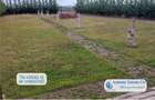 Casa de inchiriat, Cazare Muncitori, Green Oasis, Cheriu, Bihor - 16