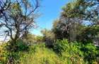 Teren cu panorama deosebita, suprafata de 3300mp, zona Wonderland