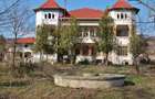 Gussi-Lahovary Mansion, Leordeni Arges-Private 5.6 hectare estate - 3