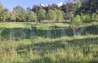 Teren extravilan de vanzare, 10.000 mp, in Valea Zizinului - 2
