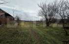Teren intravilan, 4000 mp, zona Calnic - 4