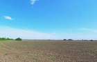 Teren intravilan – servicii și industrie 9.850 mp, Otopeni | investitie - 4