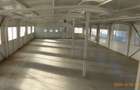 Chirie- Spatiul Industrial/ Depozit-Magurele - 2