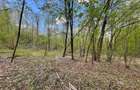 TEREN EXTRAVILAN | 103.000mp | BALANACA-GROSI | PASUNE | PASUNE IMPADURITA | BIH - 5