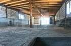 Casă (la rosu), Livadă și Pădure, Teren Generos și Plată Flexibilă – Bezdead - 11
