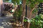 Apartament 3 camere cu curte comuna Brancoveanu - 10