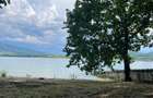 Comision 0% Teren de vanzare 6000 mp cu iesire la Lac Surduc - 5
