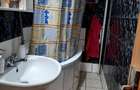 VANZARE 4 CAM PETRE ISPIRESCU -COBADIN - 9