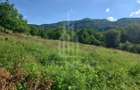Teren în Fântânele – 3.673 mp, pârâu si cadru natural  deosebit - 10