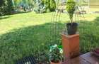 Casa cocheta cu livada si teren 1.200 mp-aproape de Pitesti - 25