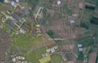 Teren Industrial de 4 hectare, Centura Arad, Livada - 2