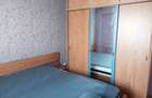 550Euro-apartament mobilat si utilat modern, Calea Calarasi - 9